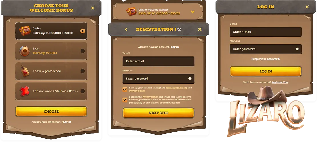 Registration and Login at Lizaro